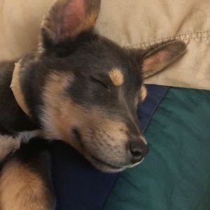 Meet your Posher, Jamie